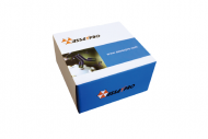 Rat Transglutaminase 2 (TGM2) AssayMax ELISA Kit